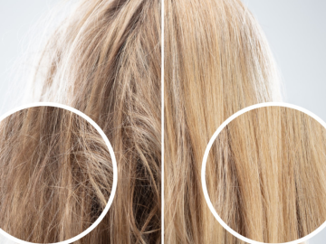 par uscat si fragil 2